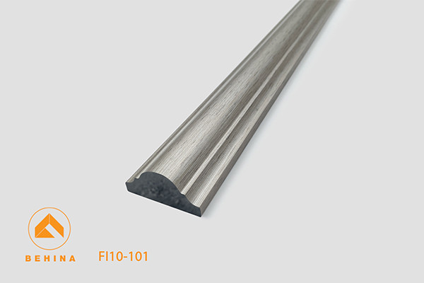 FI10-101