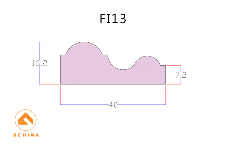 FI13