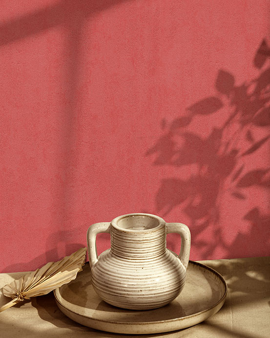 پنتونكست(3) 201254